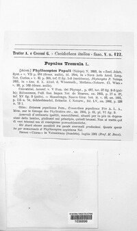 Image Associated With the Occurence